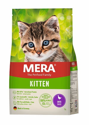 Mera Cat Kitten Ente