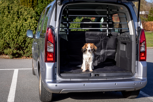 Auto-Gitter - Breite: 105 bis 172 cm / Höhe: 46 bis 60 cm