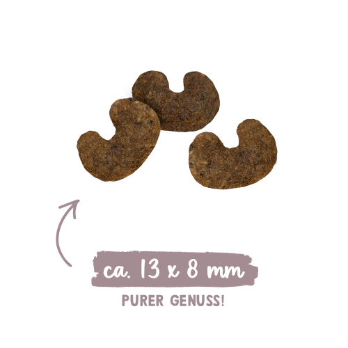 Sanabelle Urinary