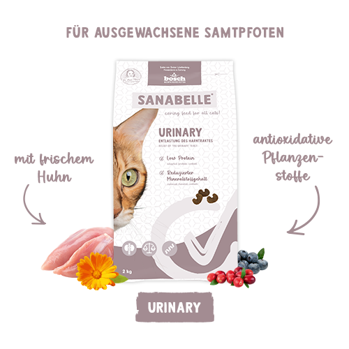 Sanabelle Urinary
