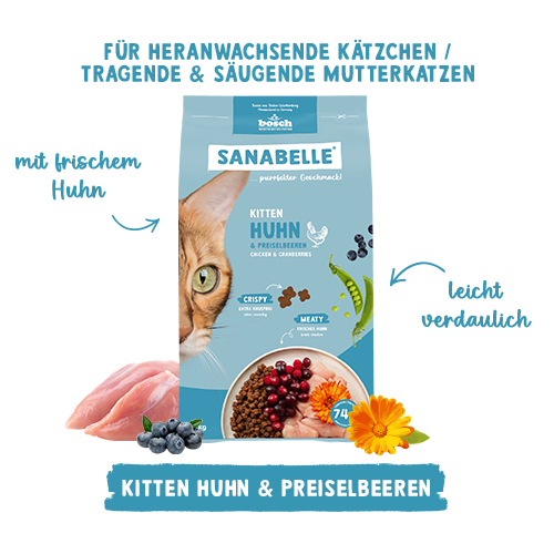 Sanabelle Kitten Huhn