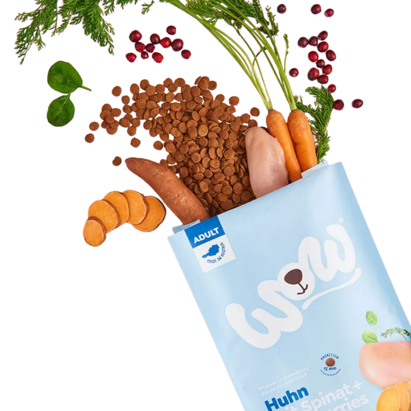 Wow Dog Trocken Minis Adult Huhn