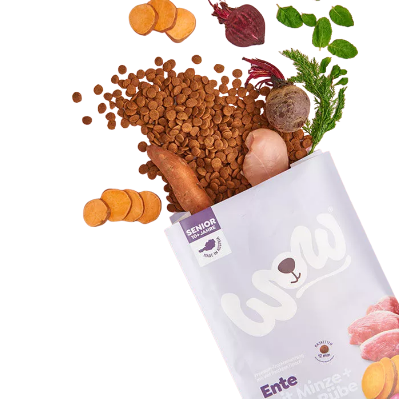 Wow Dog Trocken Senior Ente