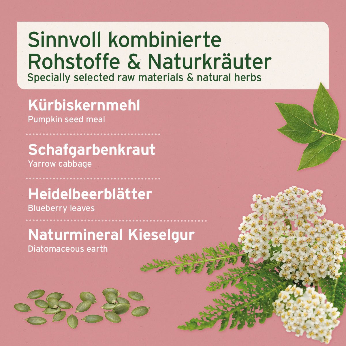 AniForte Blasen-Formel 100 g