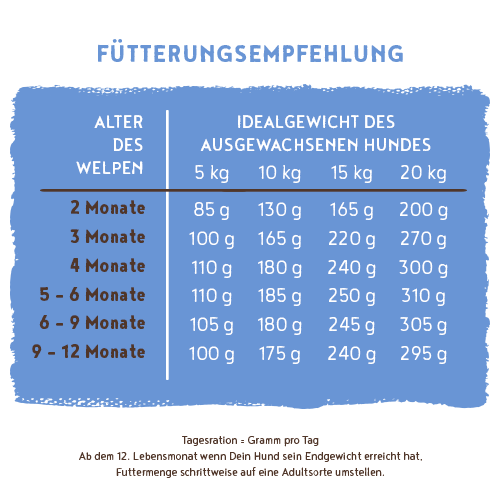 bosch HPC Junior mit Lamm & Reis