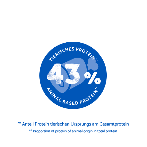 bosch HPC Junior mit Lamm & Reis