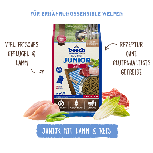 bosch HPC Junior mit Lamm & Reis