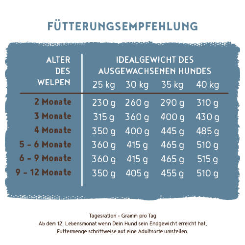 bosch HPC Maxi Junior