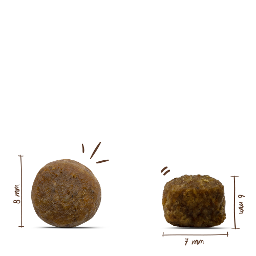 bosch HPC Mini Adult mit Lamm & Reis