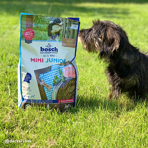 bosch HPC Mini Junior