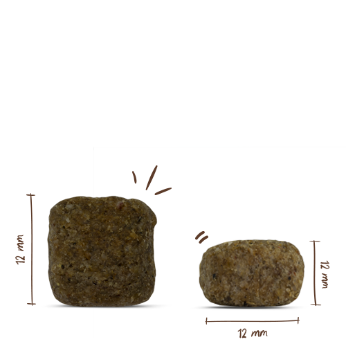 bosch HPC Reproduction