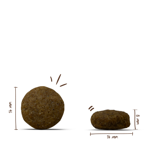 bosch HPC Special Light