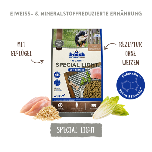 bosch HPC Special Light