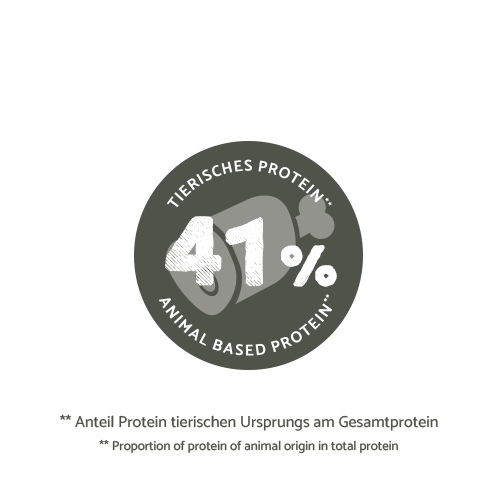 bosch HPC Special Light