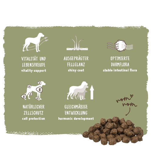 Bosch Mini Adult Geflügel & Hirse