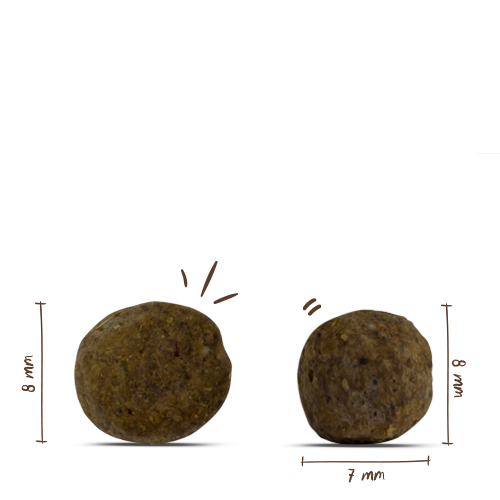 Bosch Mini Adult Geflügel & Hirse