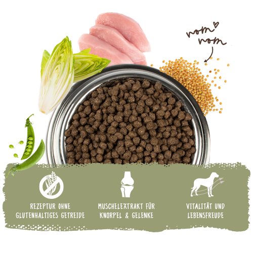 Bosch Mini Adult Geflügel & Hirse