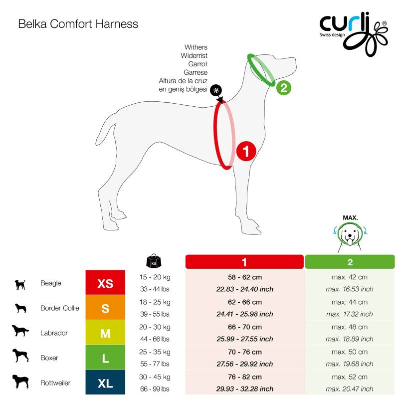 Curli All New Belka Comfort