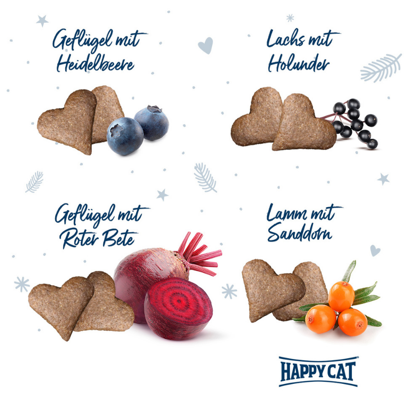 Happy Cat Adventskalender