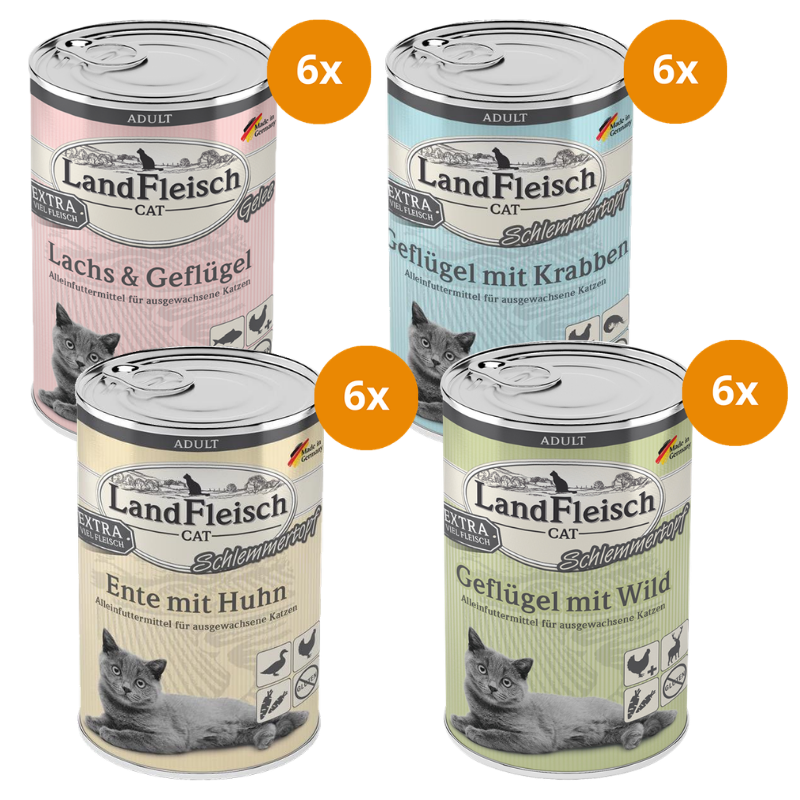 LandFleisch Probierpaket 400 g – Schlemmertopf Vielfalt (4 Sorten)