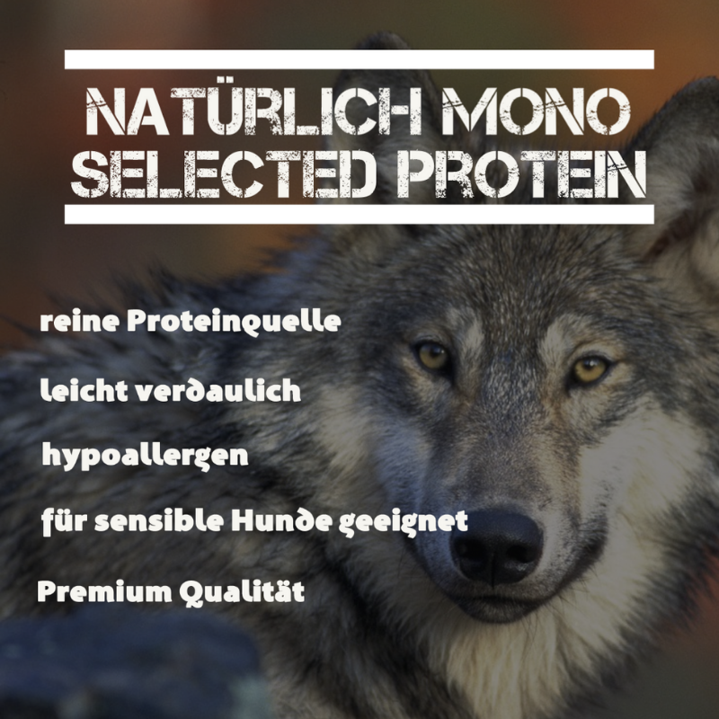 Leitwolf Selected Ocean Fish Adult Fisch & Kartoffel