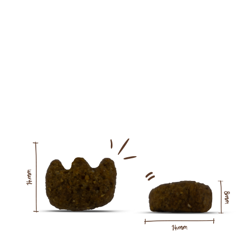 Sanabelle Dental