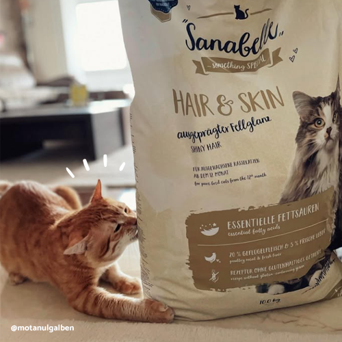Sanabelle Hair & Skin