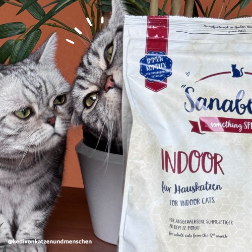 Sanabelle Indoor Fasan