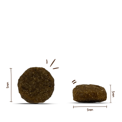 Sanabelle Sterilized
