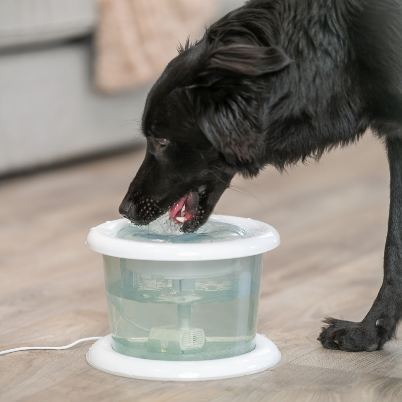 TRIXIE Trinkbrunnen Bubble Stream