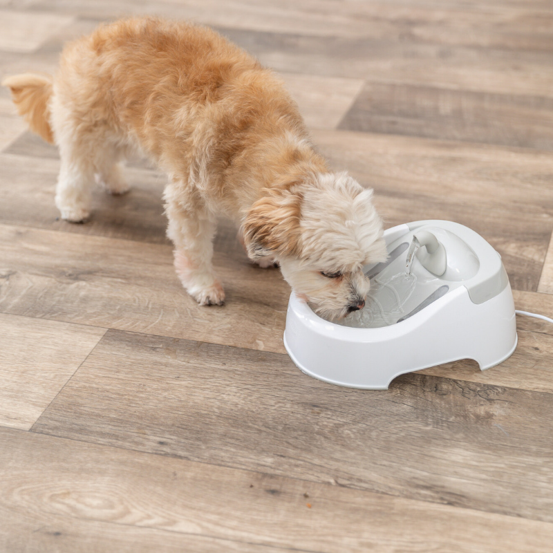 TRIXIE Trinkbrunnen Duo Stream