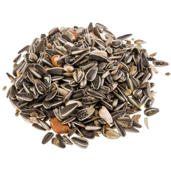 BTG Classic Bird Meisenfutter