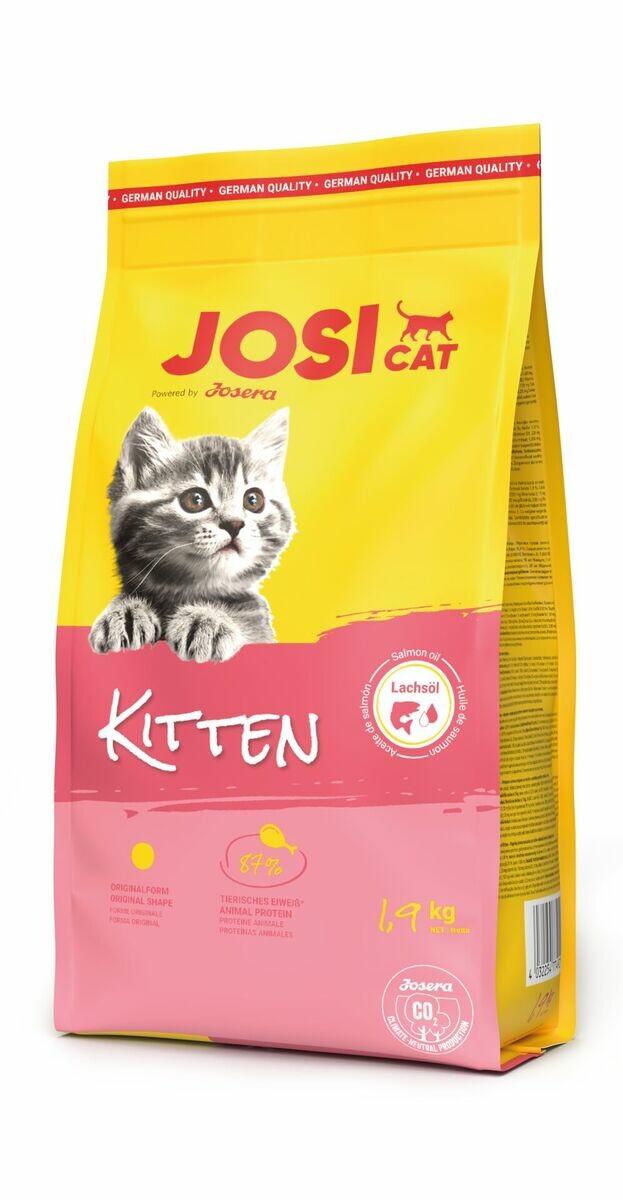 JosiCat Kitten