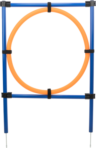 Fun Agility Ring