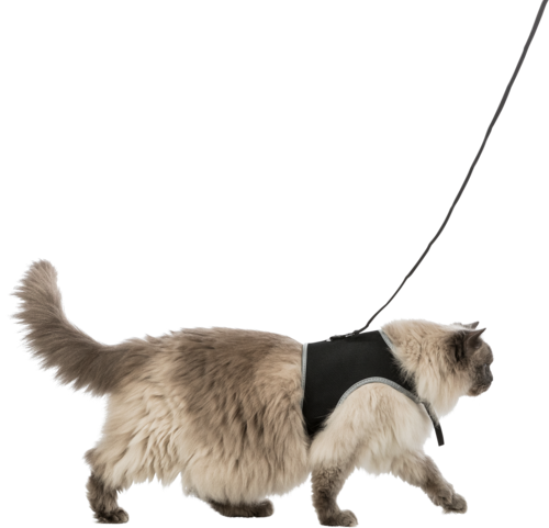 Softgeschirr - 36 – 54 cm