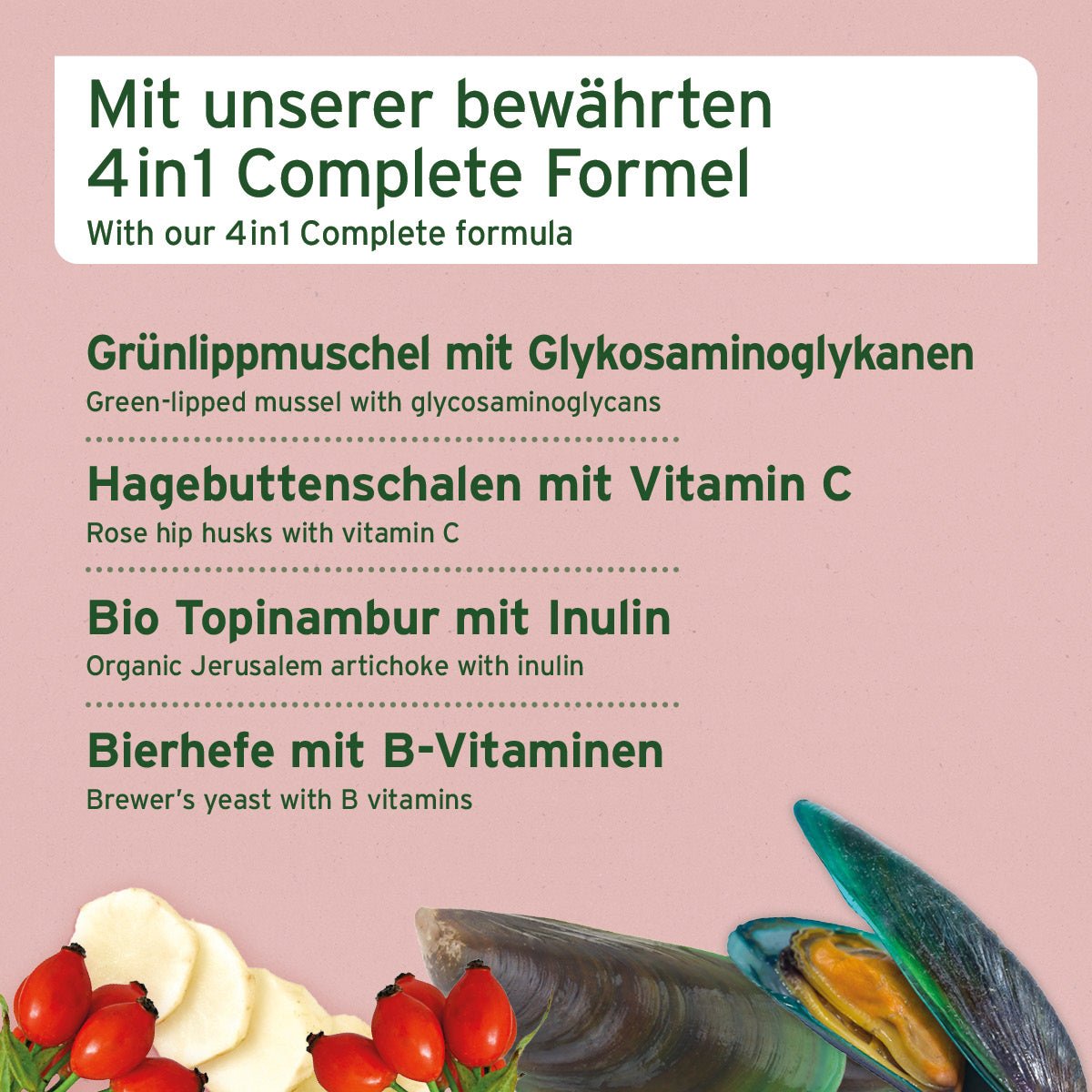 AniForte 4in1 Snack 300 g