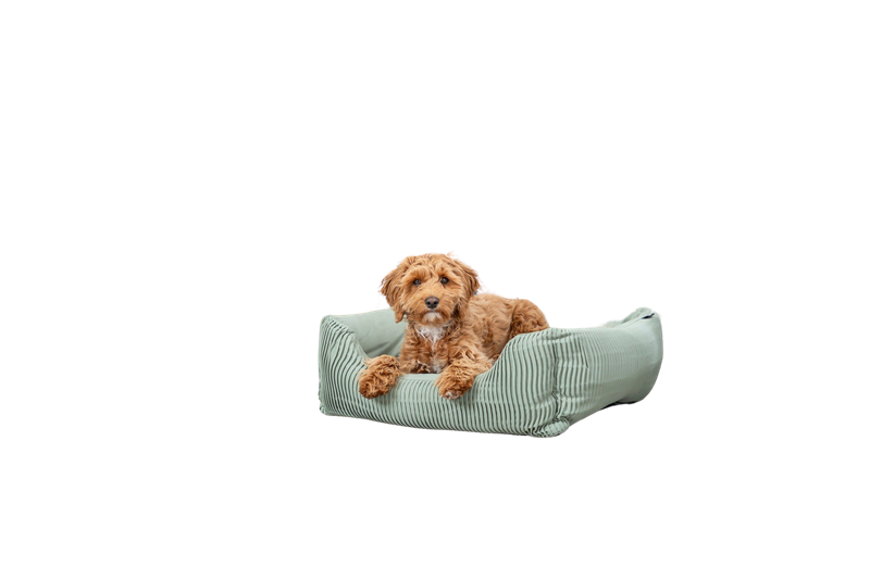 Bett Marley eckig salbei - 100 × 70 cm