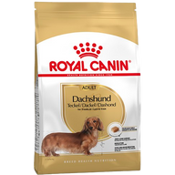 ROYAL CANIN Dachshund Adult