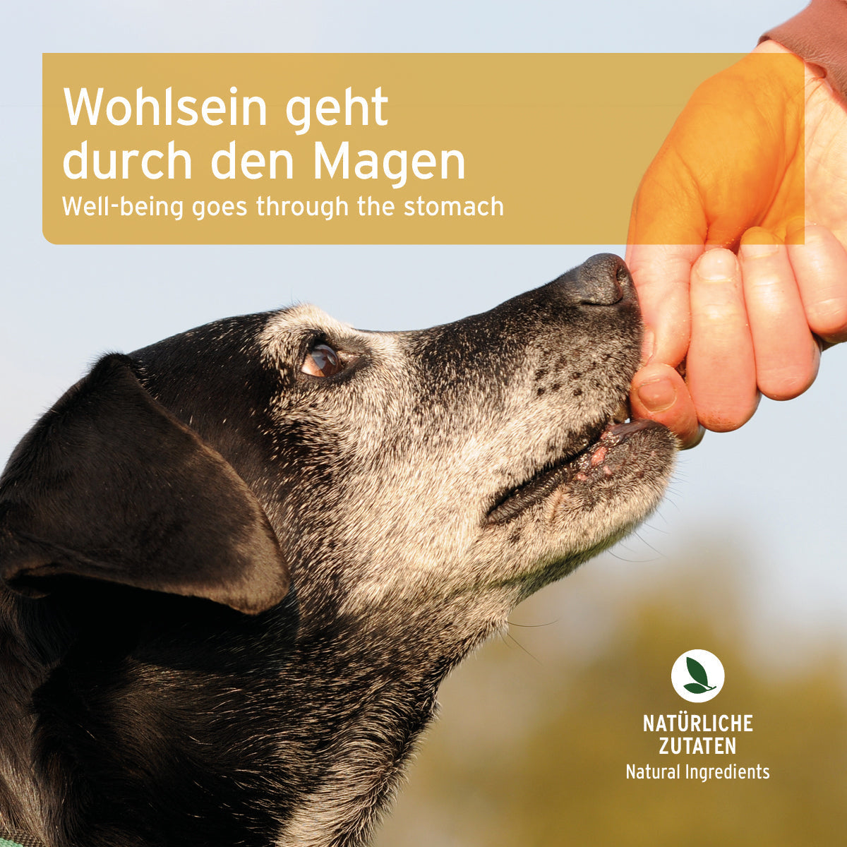 AniForte Magen & Darm Snack 300 g