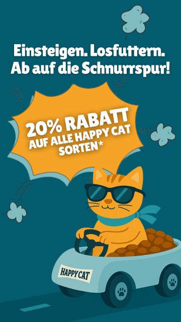 Happy Cat 360 Grad Kampagne