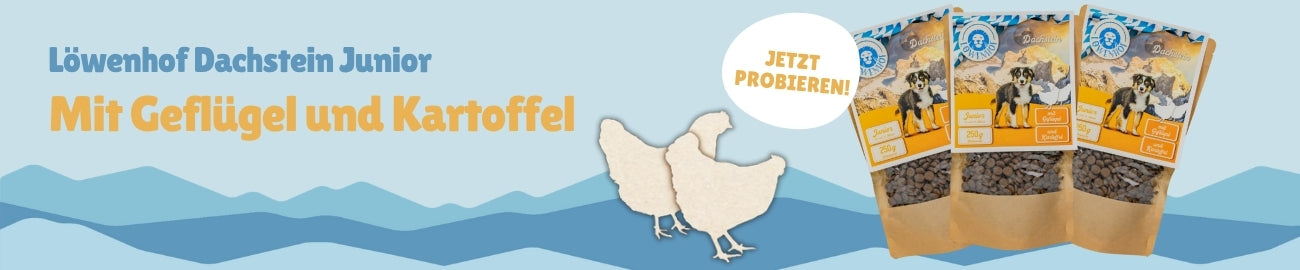 Löwenhof Dachstein Junior