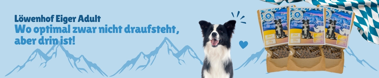 Löwenhof Eiger Adult