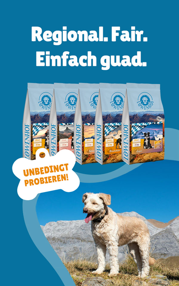 Löwenhof Hundefutter - top Alternative zu Josera