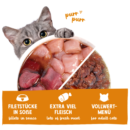 Sanabelle Nassfutter mit Gans & Huhn 380 g