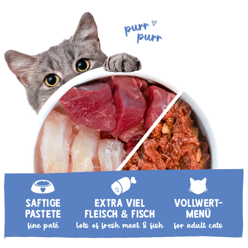 Sanabelle Nassfutter mit Forelle & Rind 400 g