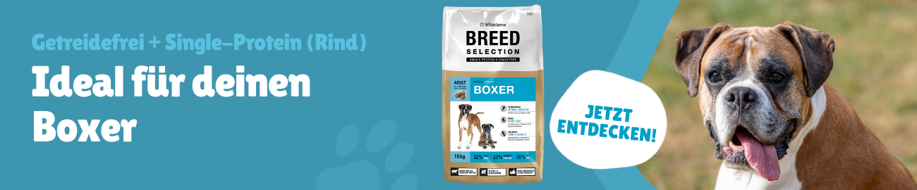 Wildsterne Boxer Banner