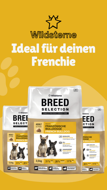French Bulldog Wildsterne Banner