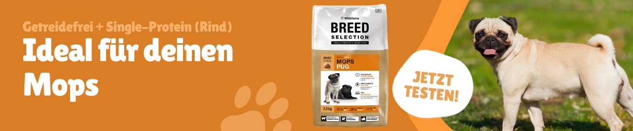 Mops Wildsterne Banner