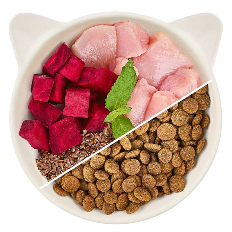 Wow Cat Trocken Adult Huhn