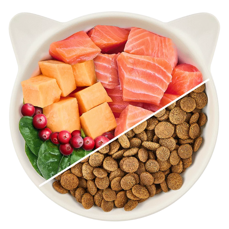 Wow Cat Trocken Adult Lachs